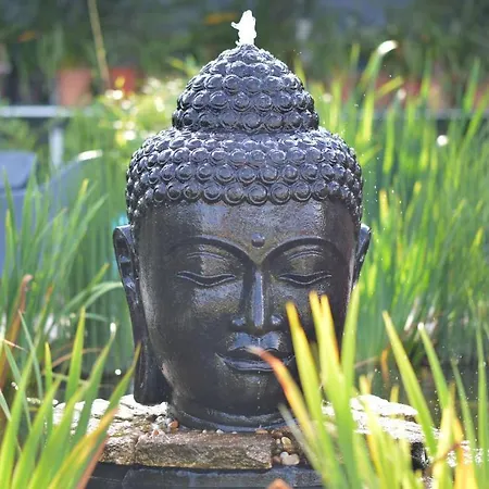 فندق Casa Carpas فيزيلا