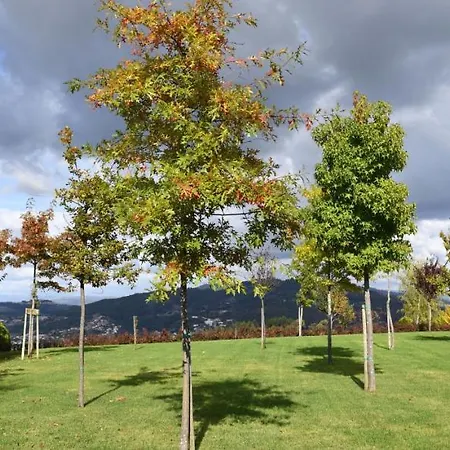 Casa Carpas فندق