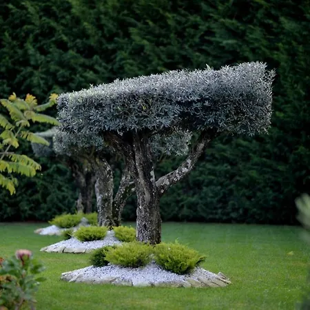 Casa Carpas Hotel 4*