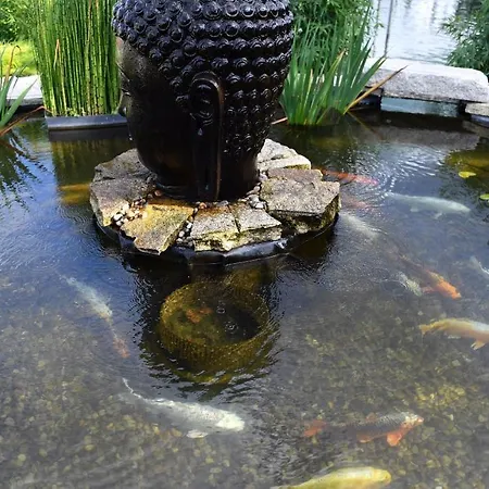 فندق Casa Carpas فيزيلا