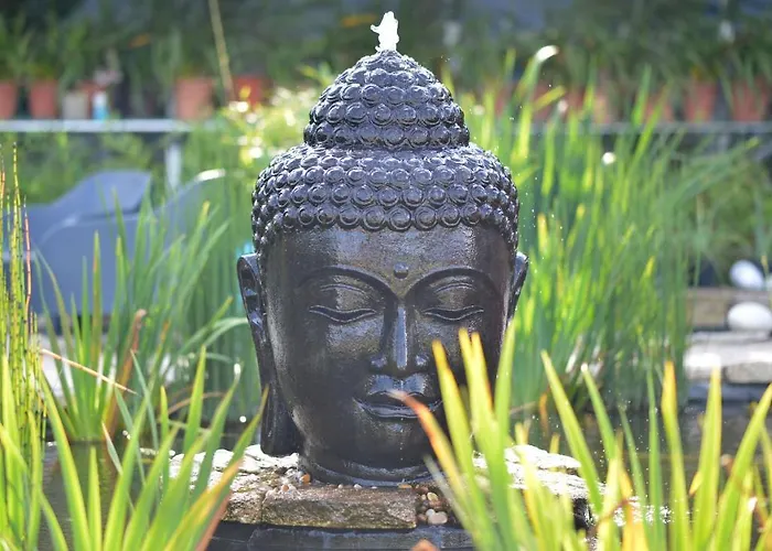 Hotel Casa Carpas Vizela