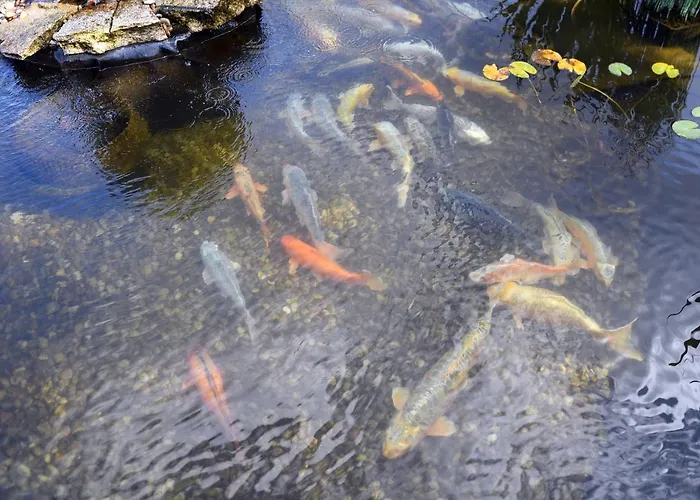 Casa Carpas 4* Vizela