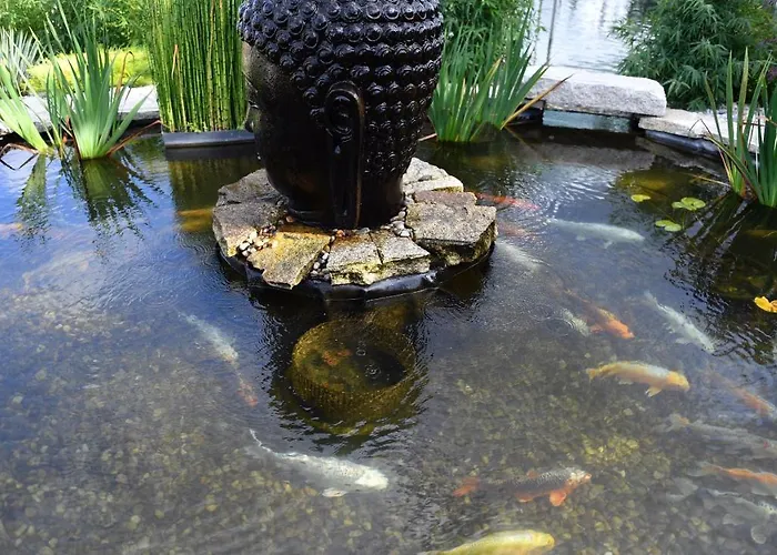 Otel Casa Carpas Vizela